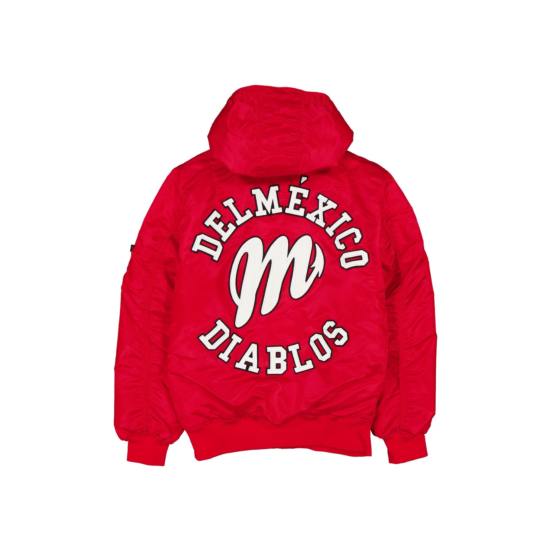 Alpha Industries x Diablos Rojos del M??xico L-2B Bomber Jacket - Image 2