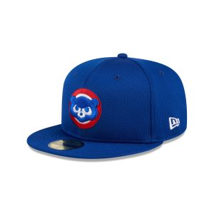 Chicago Cubs 2025 Batting Practice 59FIFTY Fitted
