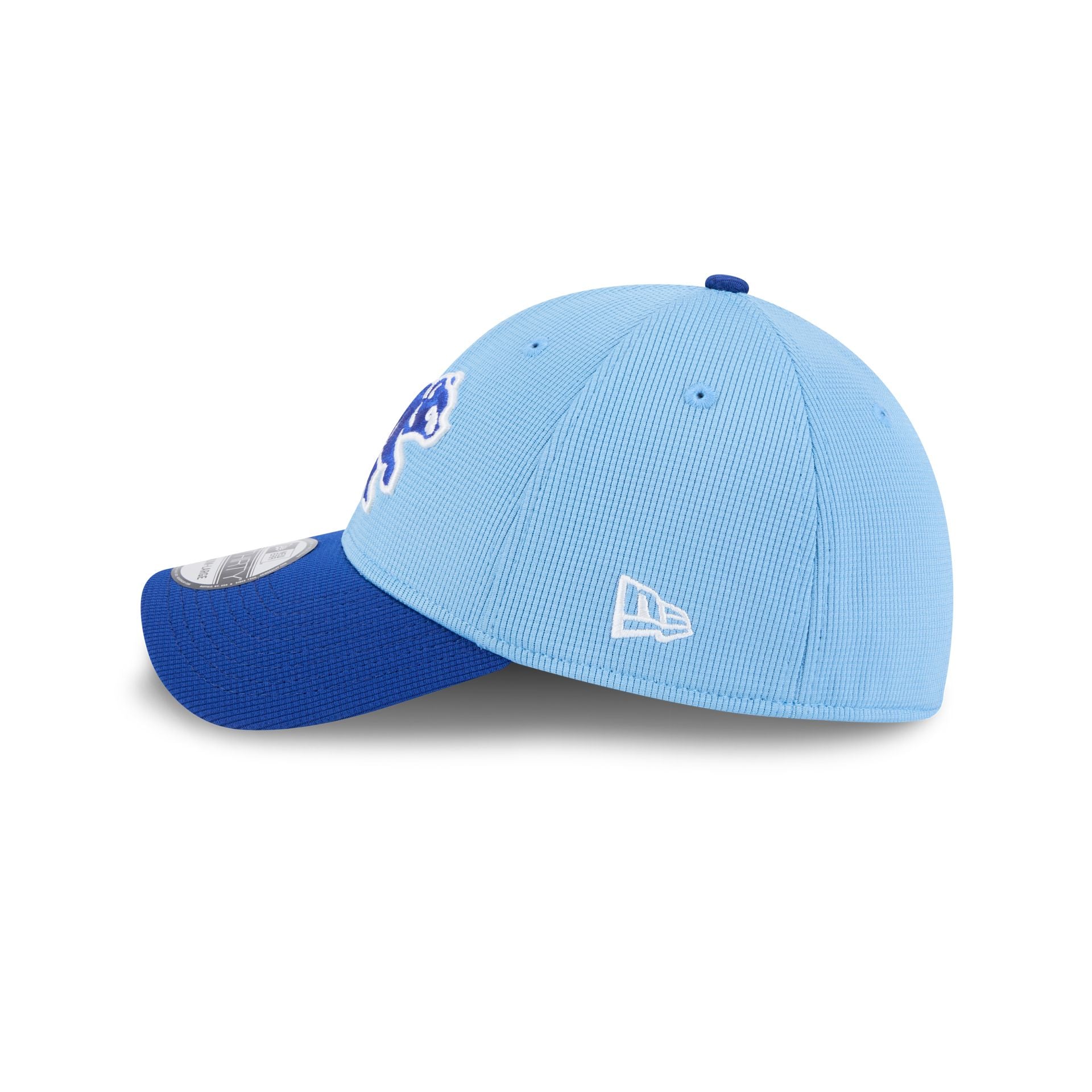 Chicago Cubs 2025 Spring Training 39THIRTY Stretch Fit Hat - Image 5