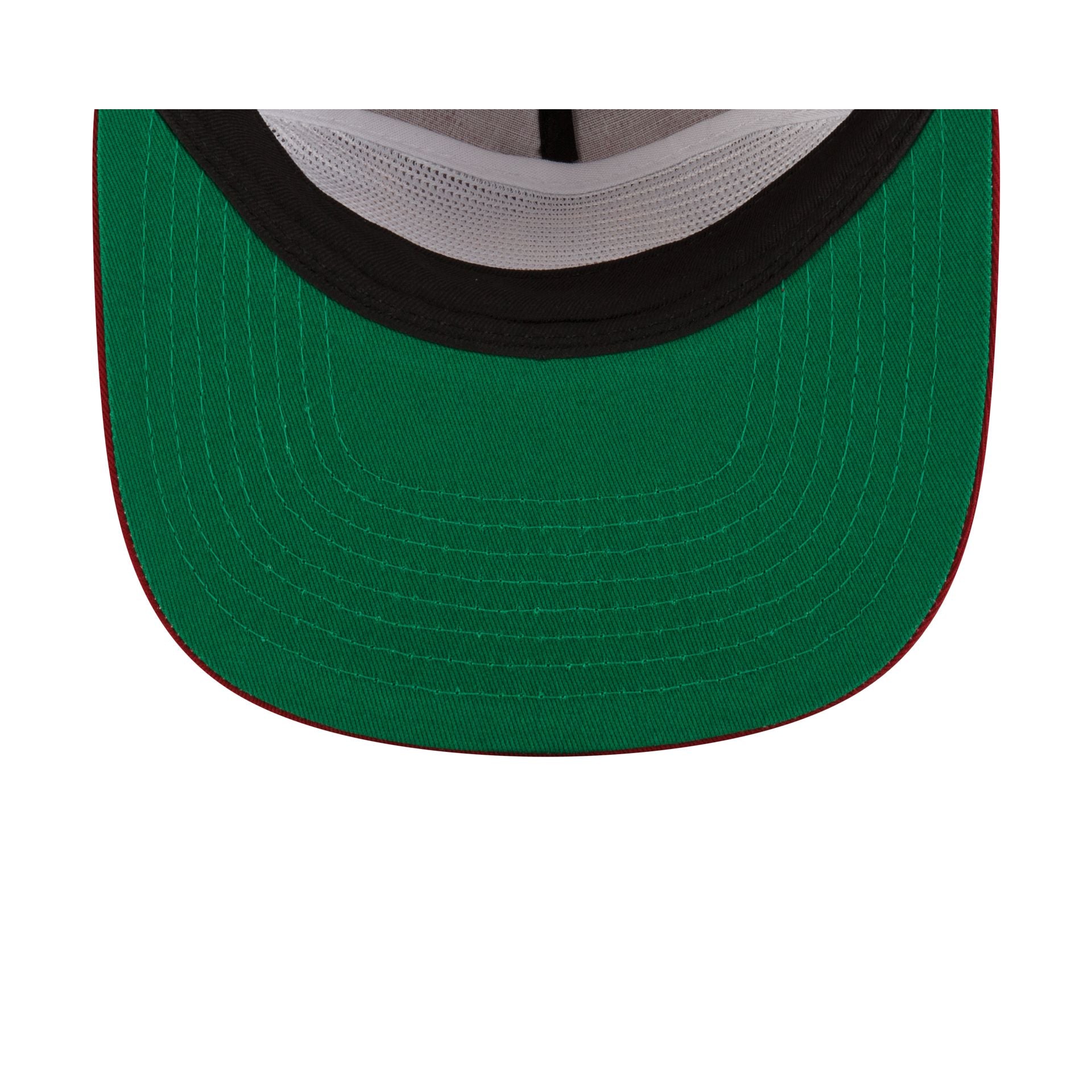 Arkansas Razorbacks College Vault Golfer - Image 7